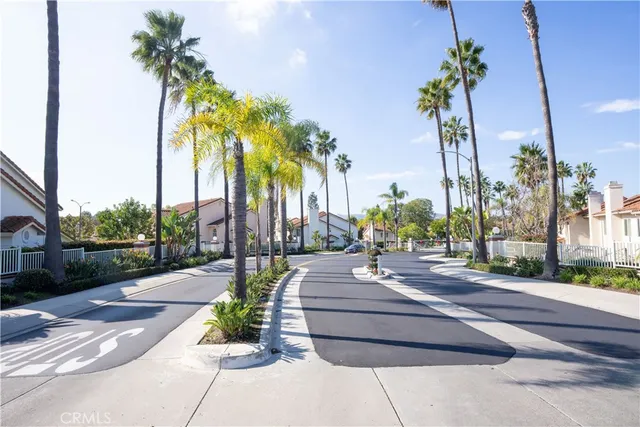 a park view with palm trees