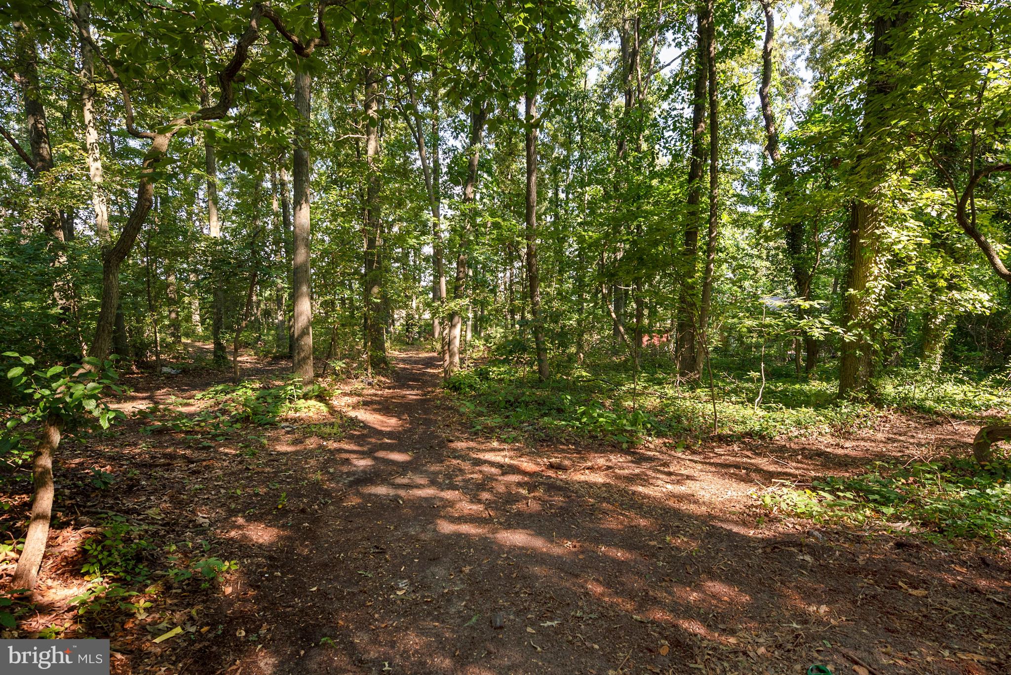 54 Mount Laurel Road Hainesport, NJ 08036 - Photo 23 of 27