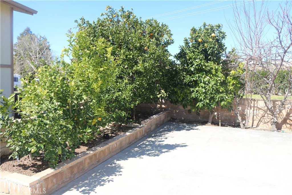 9453 Sharon Way Calimesa, CA 92320 - Photo 4 of 15 a view of a yard covered with snow