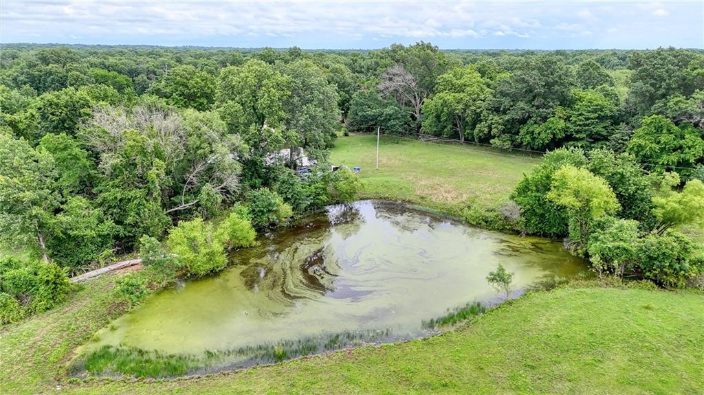 1679 Southwest 800th Road Holden, MO 64040 - Photo 7 of 40