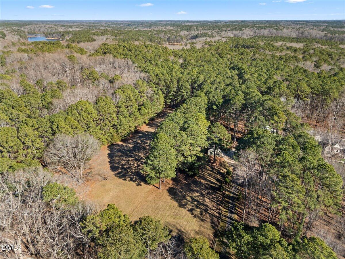 13616 New Light Road Raleigh, NC 27614 - Photo 5 of 60 a view of a yard with a lush green forest