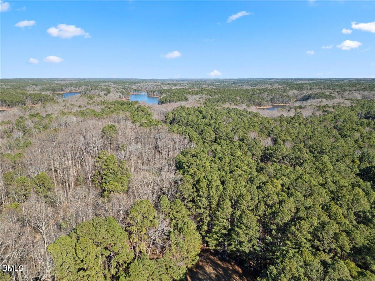 13616 New Light Road Raleigh, NC 27614 - Photo 54 of 60 a view of city and green space