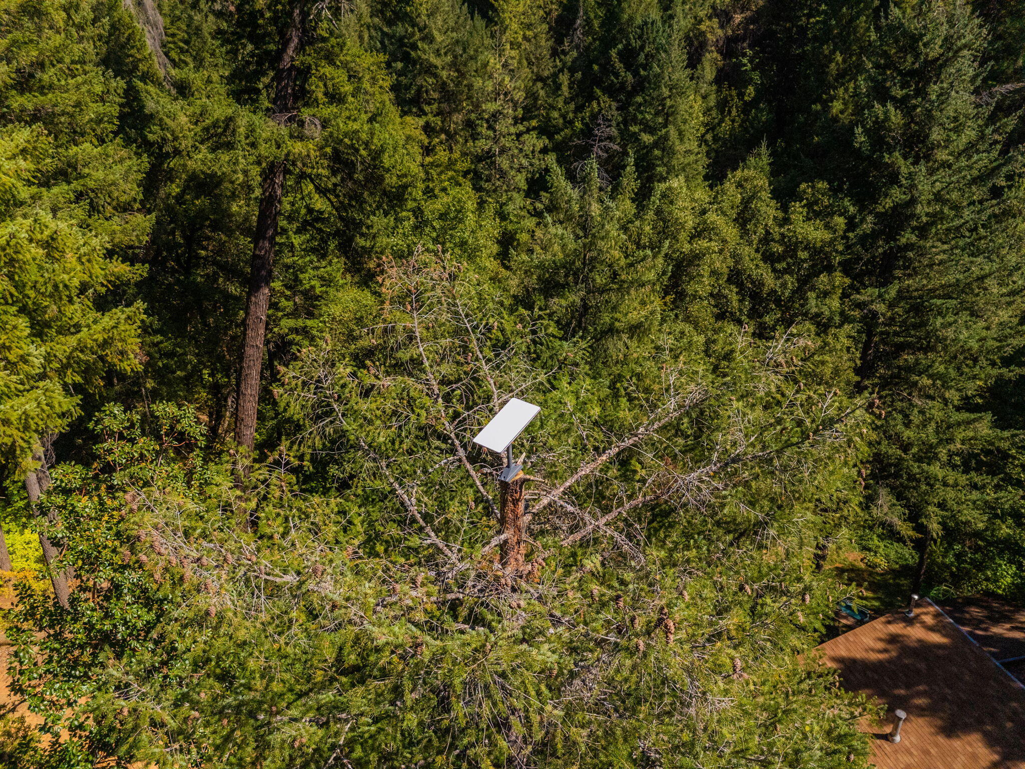 20922 Red Bridge Road Montgomery Creek, CA 96065 - Photo 36 of 69 65-web-or-mls-IMG-65