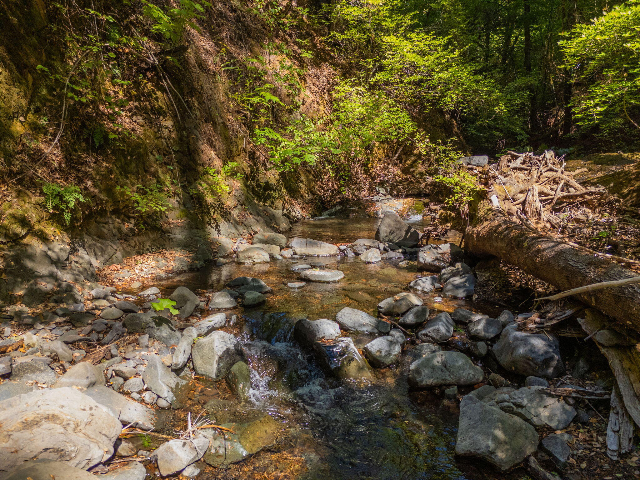 20922 Red Bridge Road Montgomery Creek, CA 96065 - Photo 39 of 69 58-web-or-mls-IMG-58