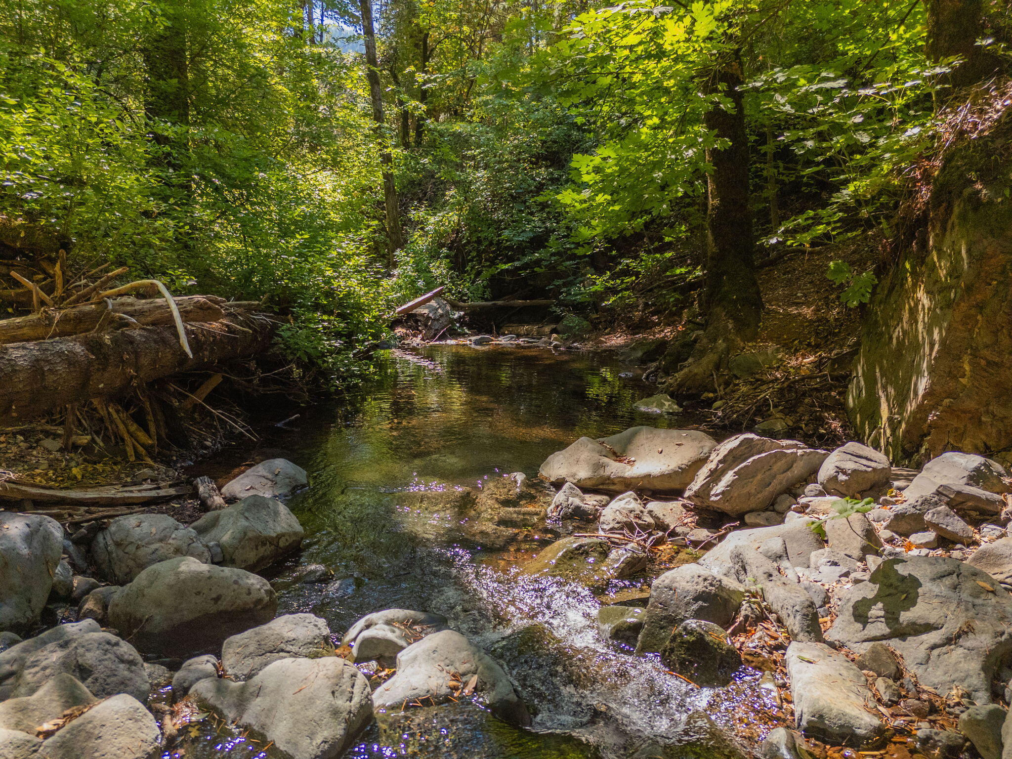 20922 Red Bridge Road Montgomery Creek, CA 96065 - Photo 40 of 69 60-web-or-mls-IMG-60