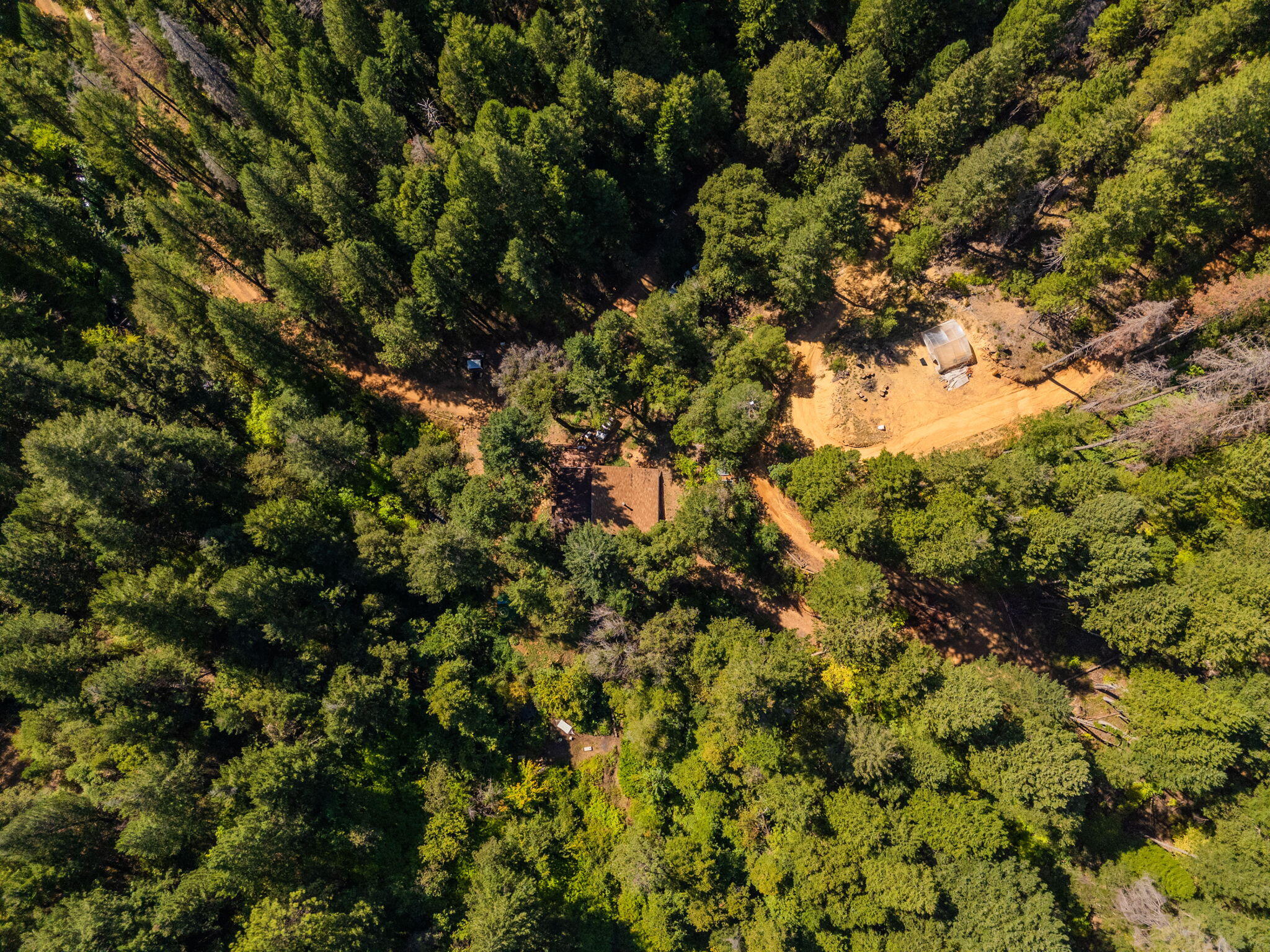 20922 Red Bridge Road Montgomery Creek, CA 96065 - Photo 41 of 69 61-web-or-mls-IMG-61