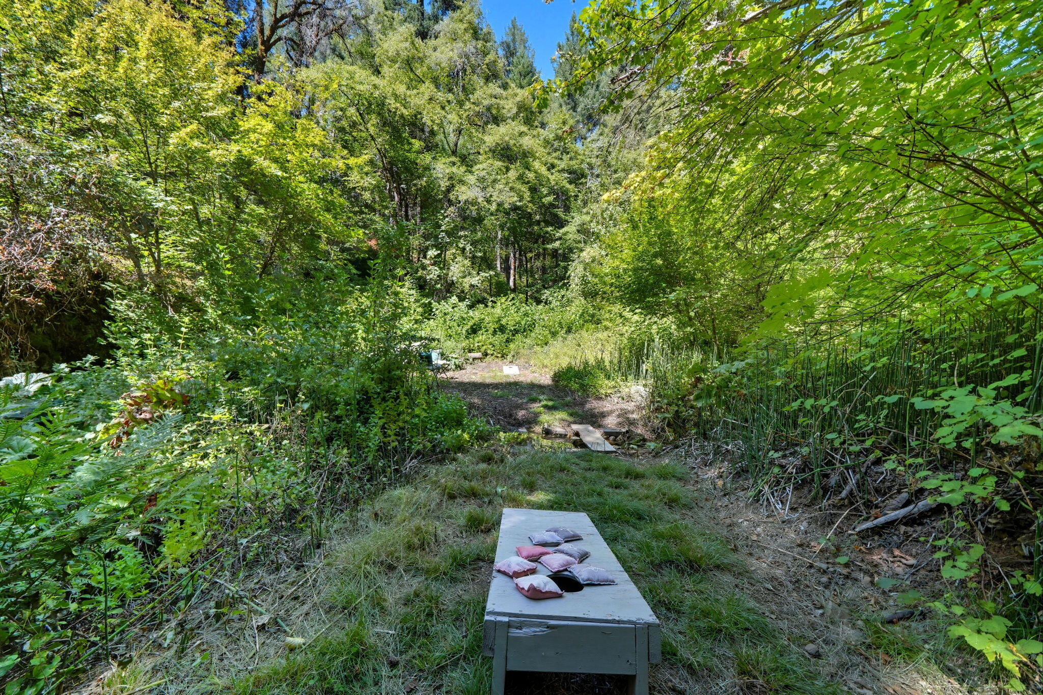 20922 Red Bridge Road Montgomery Creek, CA 96065 - Photo 51 of 69 40-web-or-mls-IMG-40