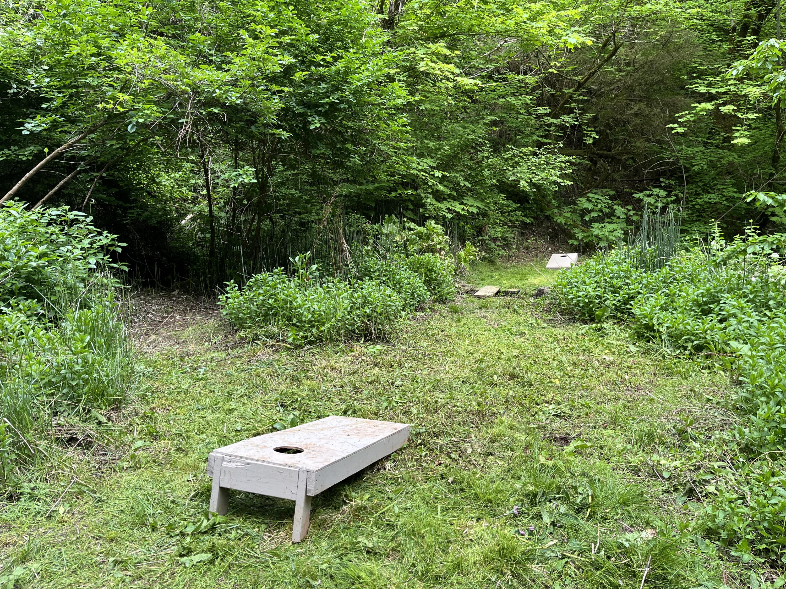 20922 Red Bridge Road Montgomery Creek, CA 96065 - Photo 52 of 69 IMG_2661