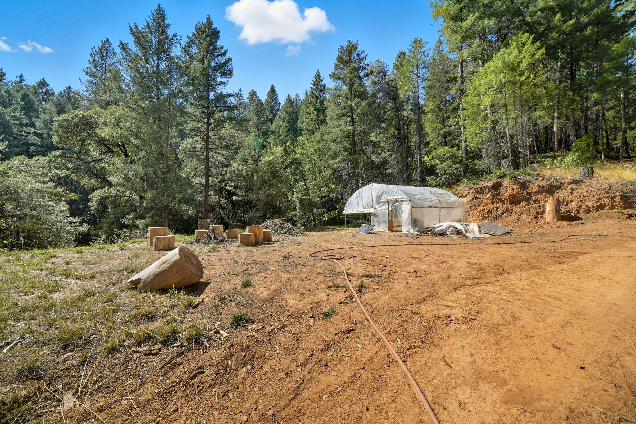 20922 Red Bridge Road Montgomery Creek, CA 96065 - Photo 63 of 69 38-web-or-mls-IMG-38