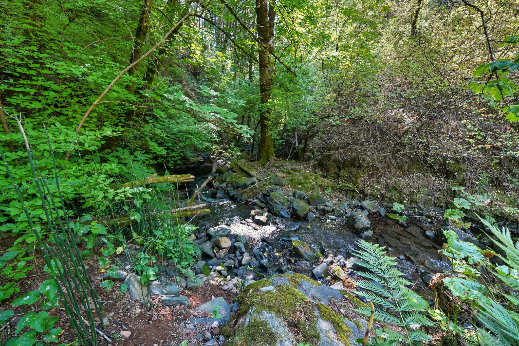 20922 Red Bridge Road Montgomery Creek, CA 96065 - Photo 64 of 69 39-web-or-mls-IMG-39