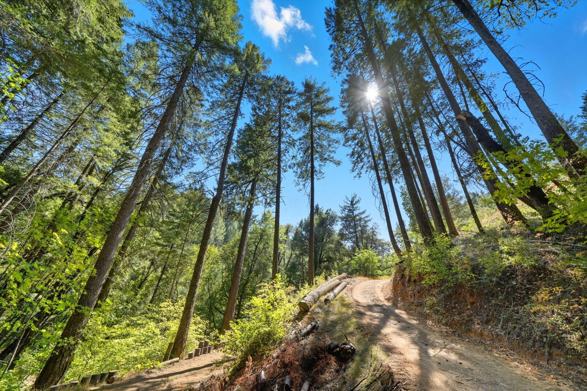 20922 Red Bridge Road Montgomery Creek, CA 96065 - Photo 67 of 69 2-web-or-mls-IMG-02