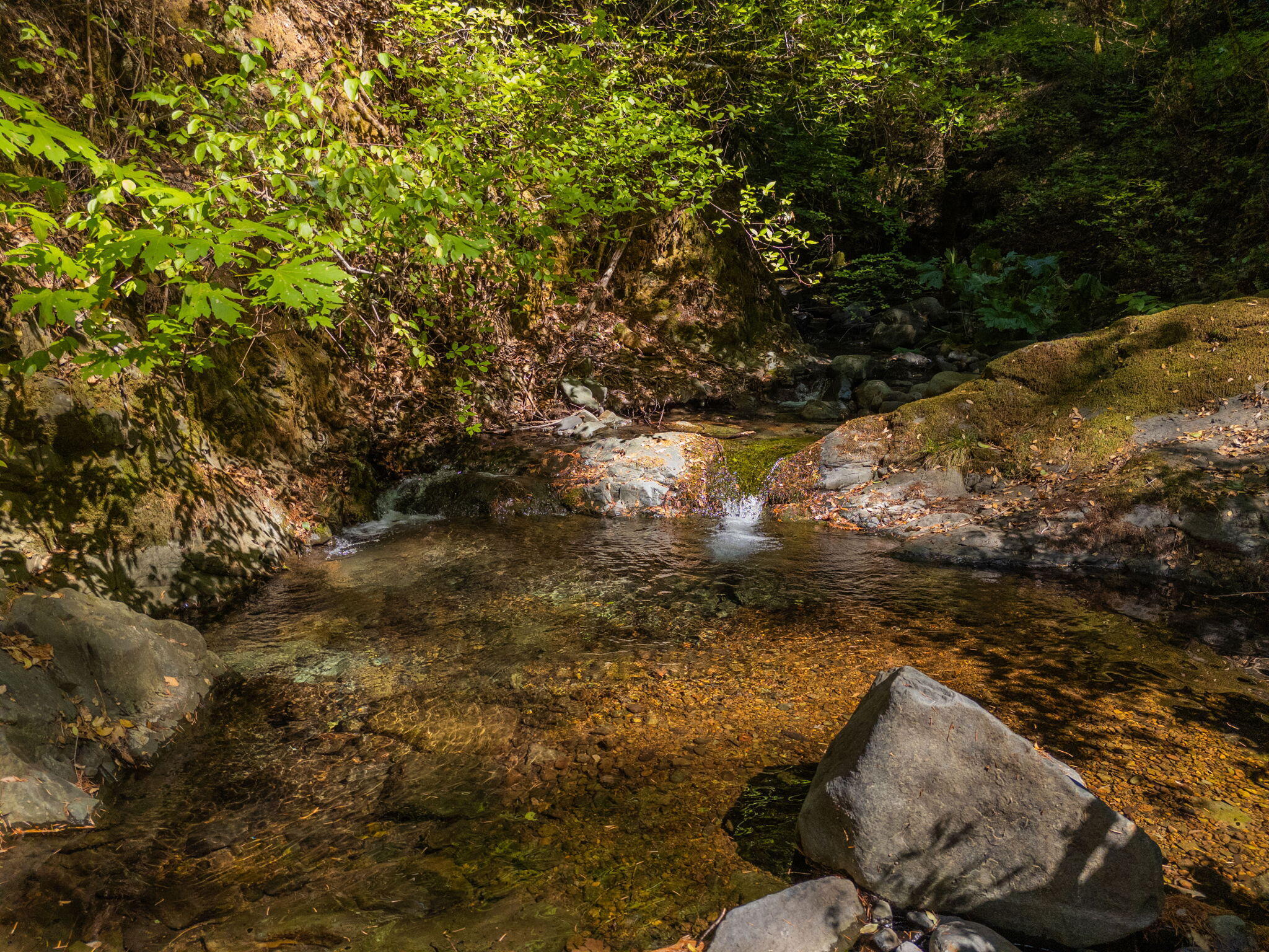 20922 Red Bridge Road Montgomery Creek, CA 96065 - Photo 7 of 69 59-web-or-mls-IMG-59