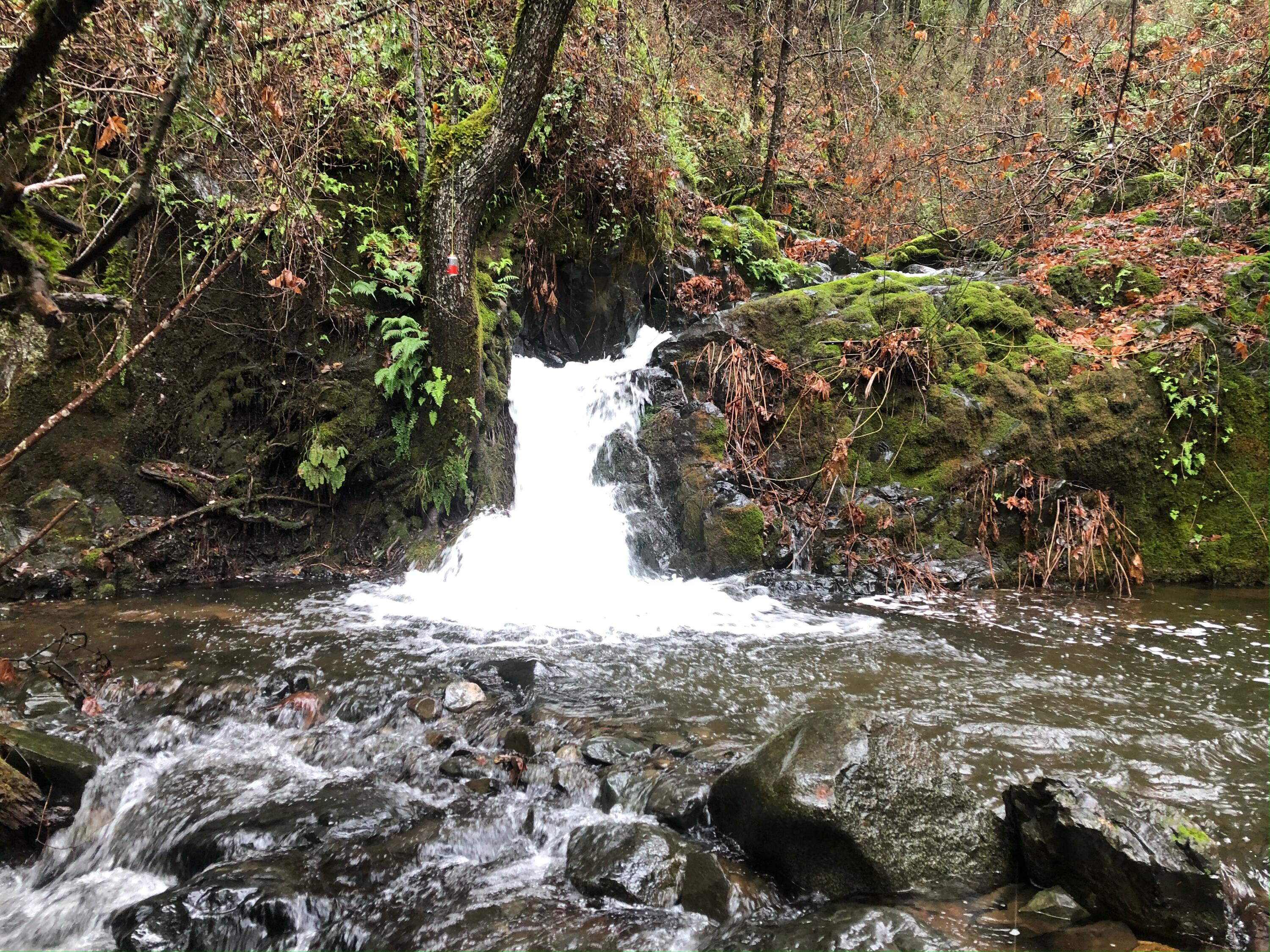 20922 Red Bridge Road Montgomery Creek, CA 96065 - Photo 8 of 69 IMG_5875