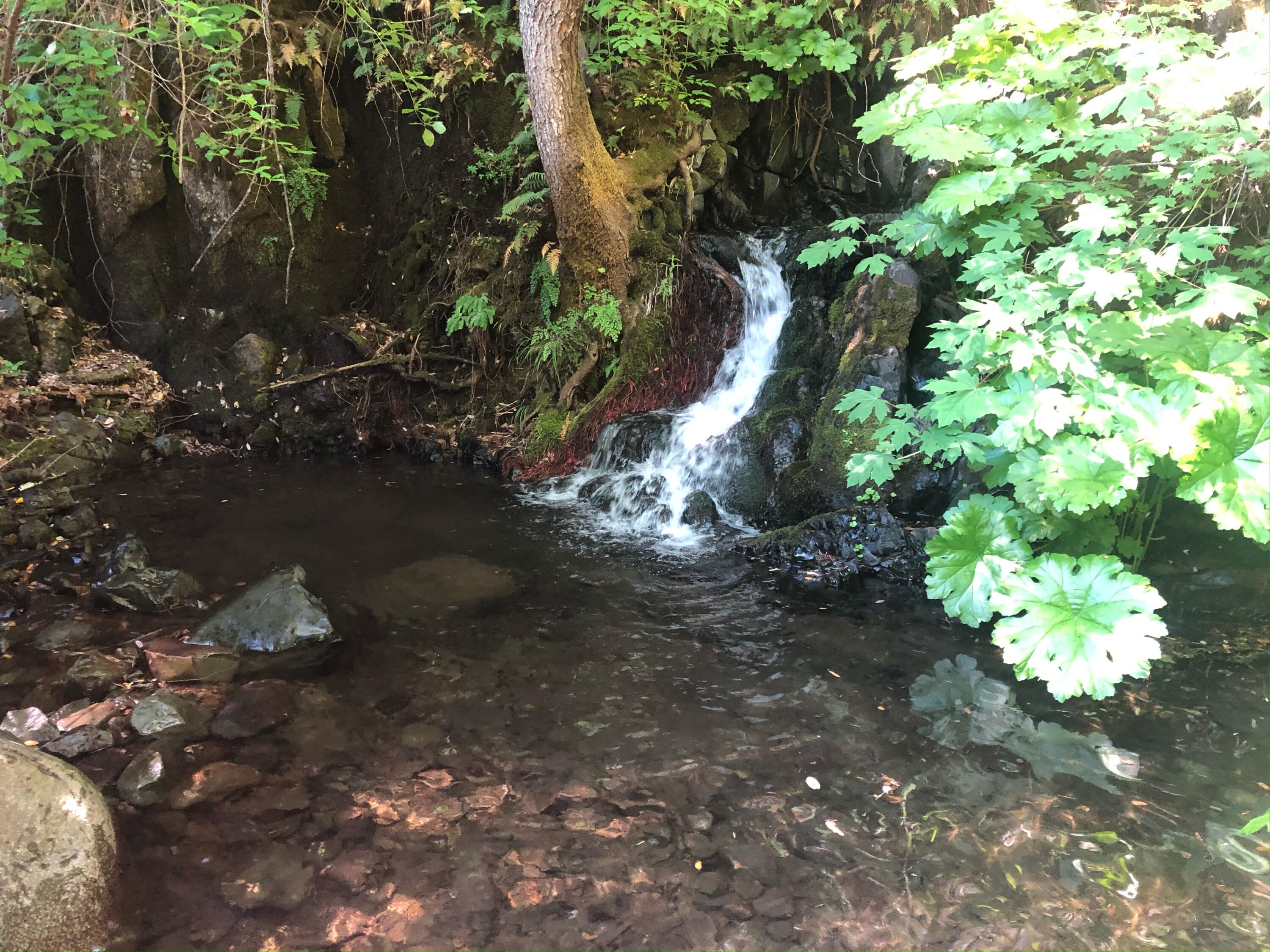 20922 Red Bridge Road Montgomery Creek, CA 96065 - Photo 9 of 69 357B7347-6686-4CE8-8A24-2A39145E2AFE