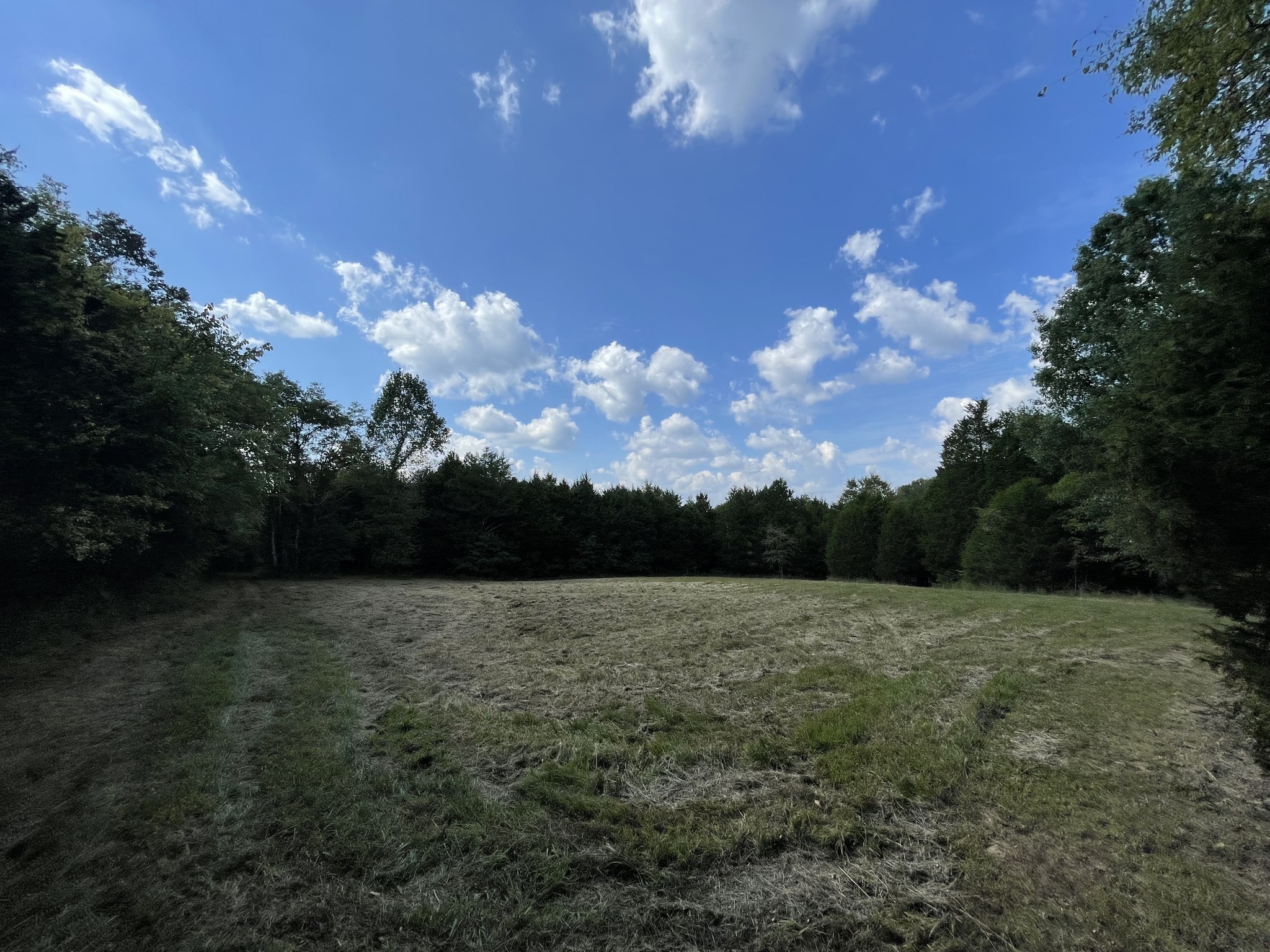 540 Beasleys Bend Road Lebanon, TN 37087 - Photo 1 of 15 a view of a big yard