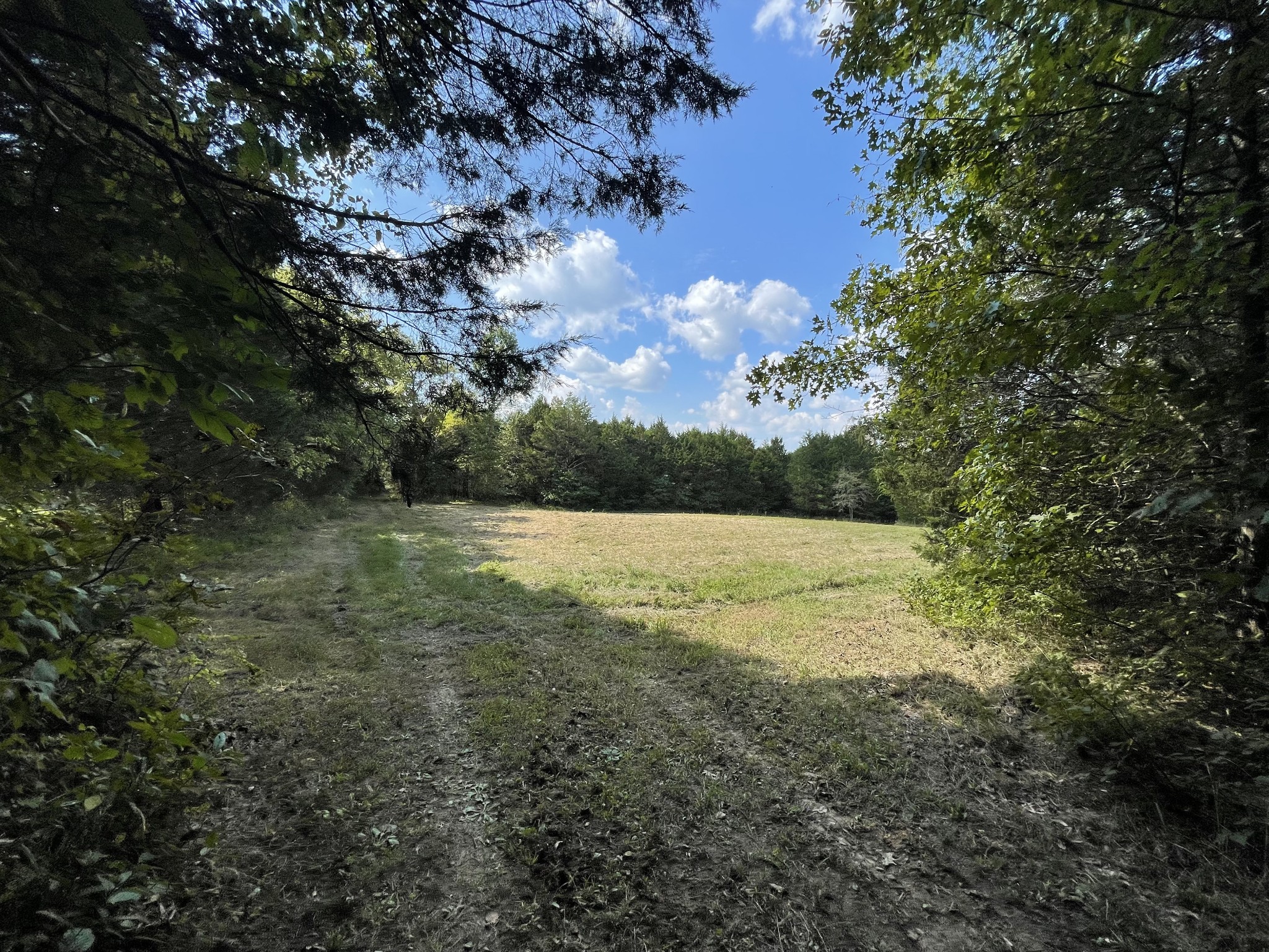 540 Beasleys Bend Road Lebanon, TN 37087 - Photo 2 of 15 a view of lake with outdoor space