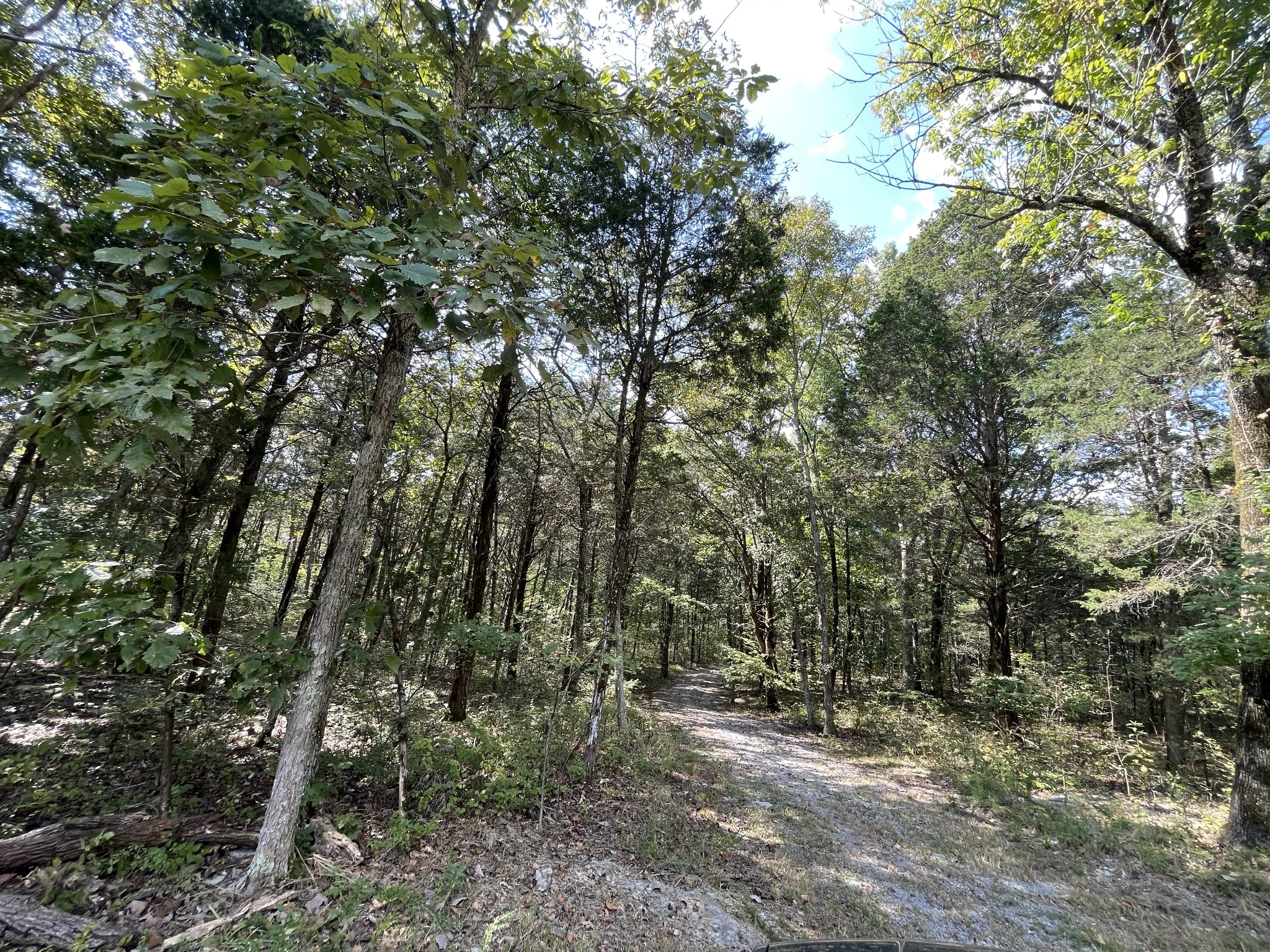 540 Beasleys Bend Road Lebanon, TN 37087 - Photo 5 of 15 a view of outdoor space and trees
