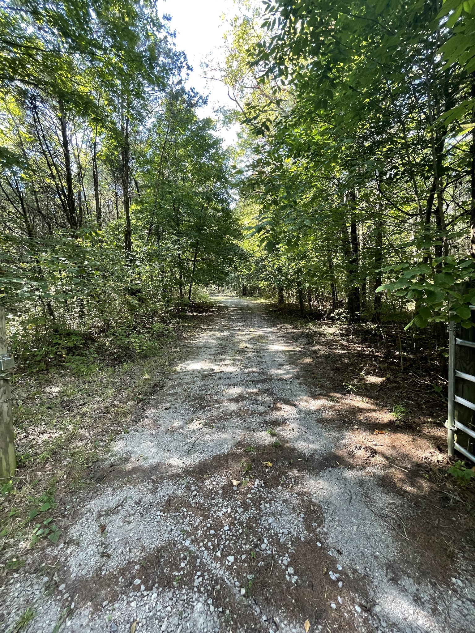 540 Beasleys Bend Road Lebanon, TN 37087 - Photo 8 of 15 a view of a forest with trees in the background