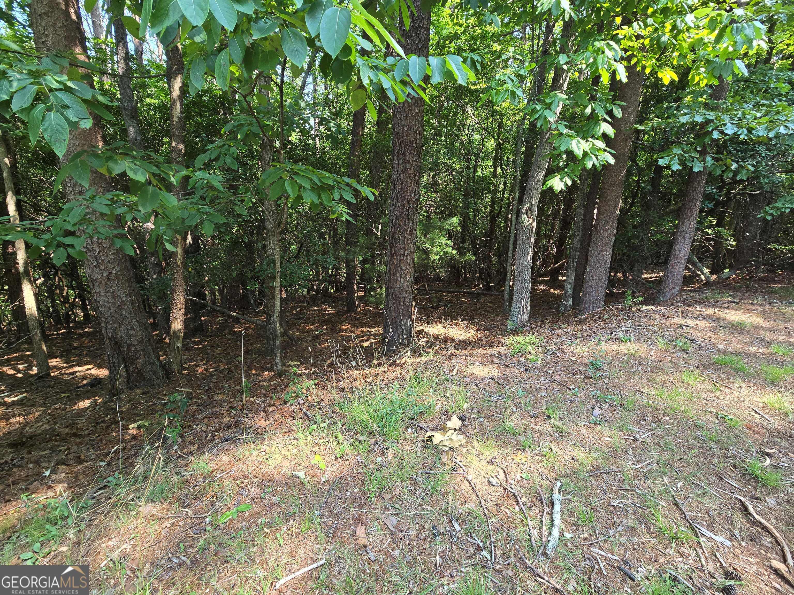 C2 Quail Run Sautee Nacoochee, GA 30571 - Photo 7 of 17