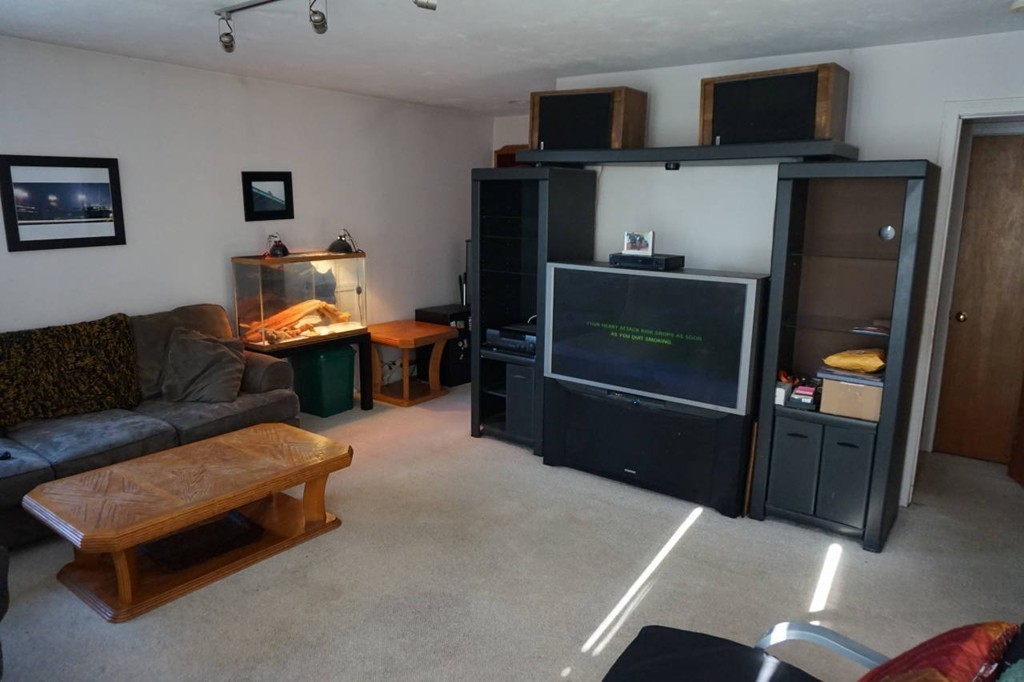 16 Waring Road Natick, MA 01760 - Photo 11 of 12 a living room with a couch and a flat screen tv