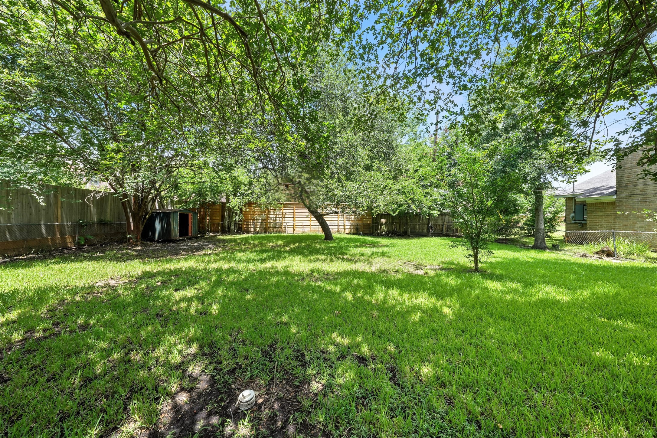6305 South Rice Avenue Bellaire, TX 77401 - Photo 7 of 23 a view of a garden with a tree
