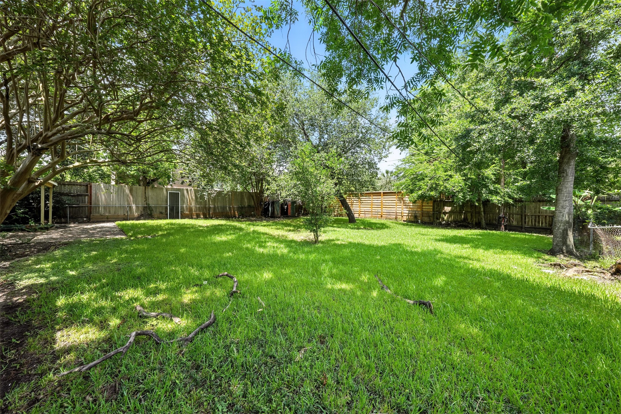 6305 South Rice Avenue Bellaire, TX 77401 - Photo 8 of 23 a view of a garden with a tree