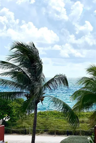 a view of a palm trees in a park