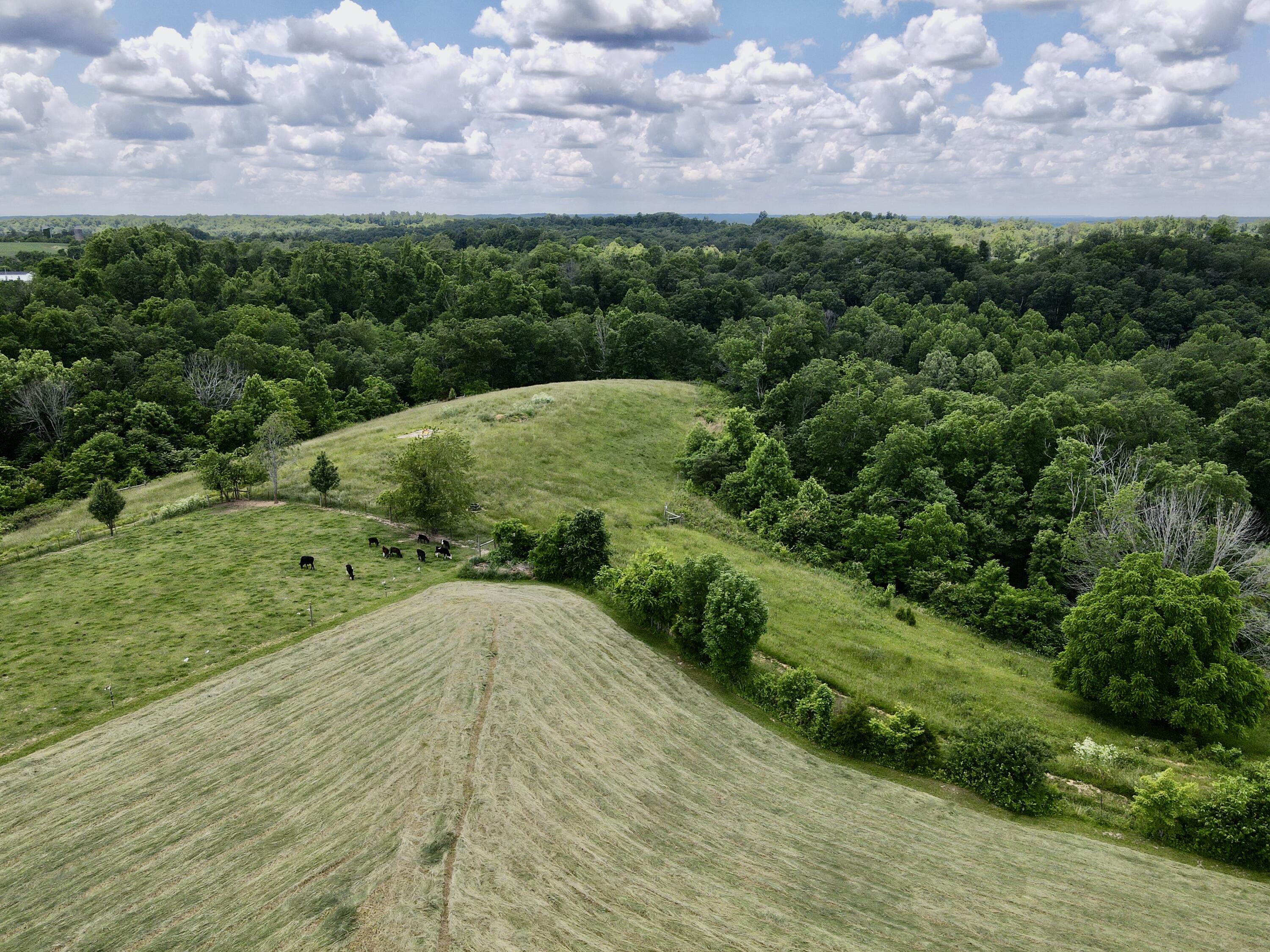 9999 Chestnut Grove Road Brodhead, KY 40409 - Photo 11 of 67 71783F3D-1EB1-4E61-84F2-B457442CECED