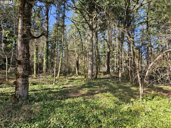 a view of outdoor space with trees