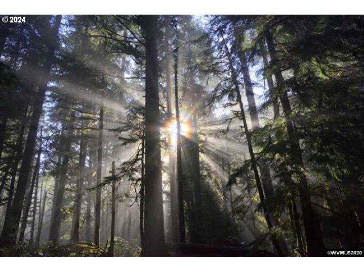 2700 Miller Lane Northwest Albany, OR 97321 - Photo 2 of 10 a view of outdoor space