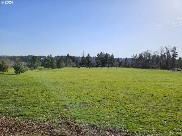 a view of a field with an ocean view