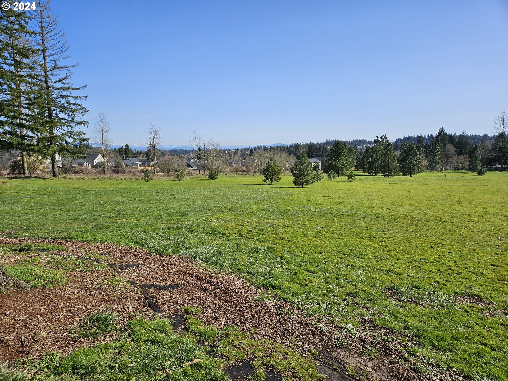 2700 Miller Lane Northwest Albany, OR 97321 - Photo 10 of 10 a view of an outdoor space and a yard