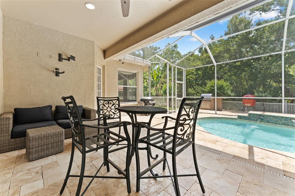 11615 Renaissance View Court Tampa, FL 33626 - Photo 39 of 56