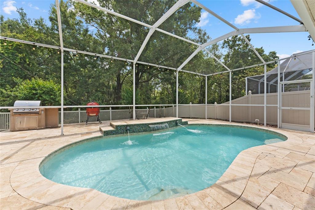 11615 Renaissance View Court Tampa, FL 33626 - Photo 41 of 56