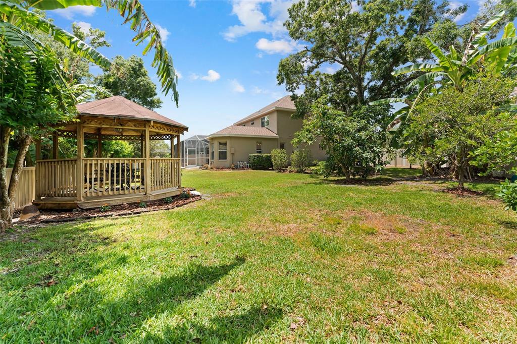 11615 Renaissance View Court Tampa, FL 33626 - Photo 45 of 56