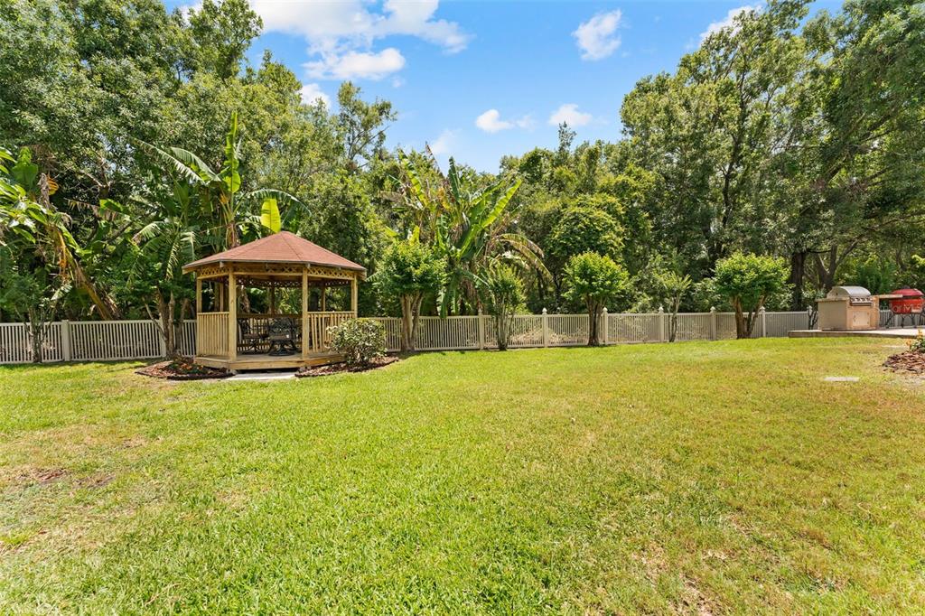 11615 Renaissance View Court Tampa, FL 33626 - Photo 46 of 56