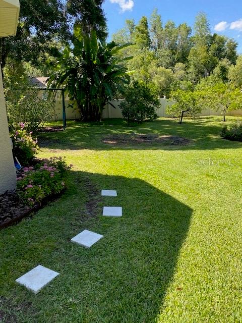 11615 Renaissance View Court Tampa, FL 33626 - Photo 49 of 56