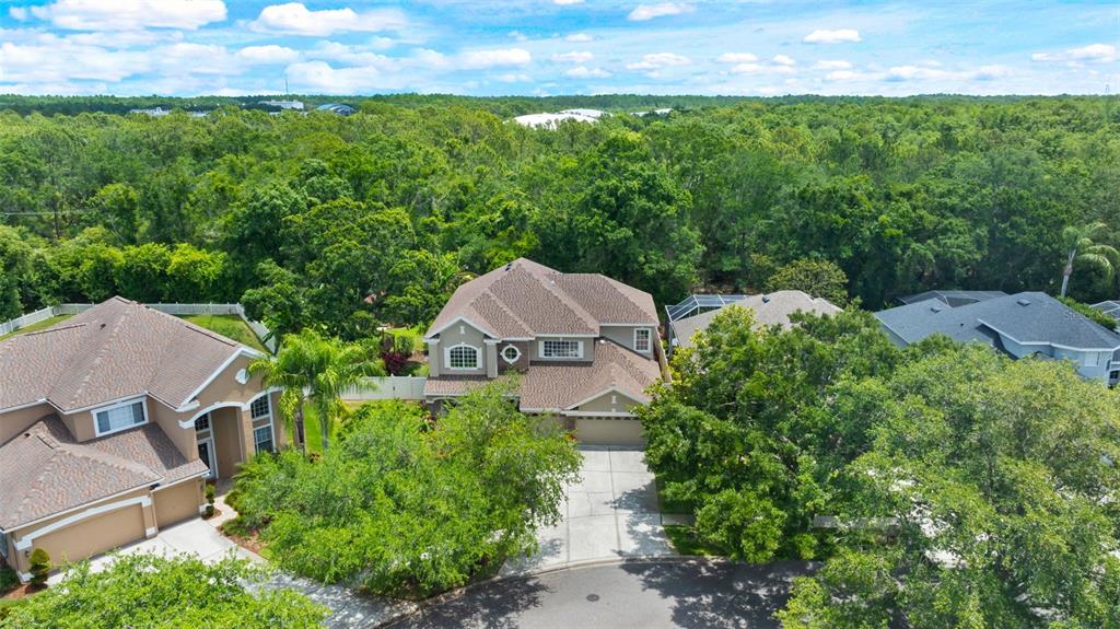 11615 Renaissance View Court Tampa, FL 33626 - Photo 50 of 56