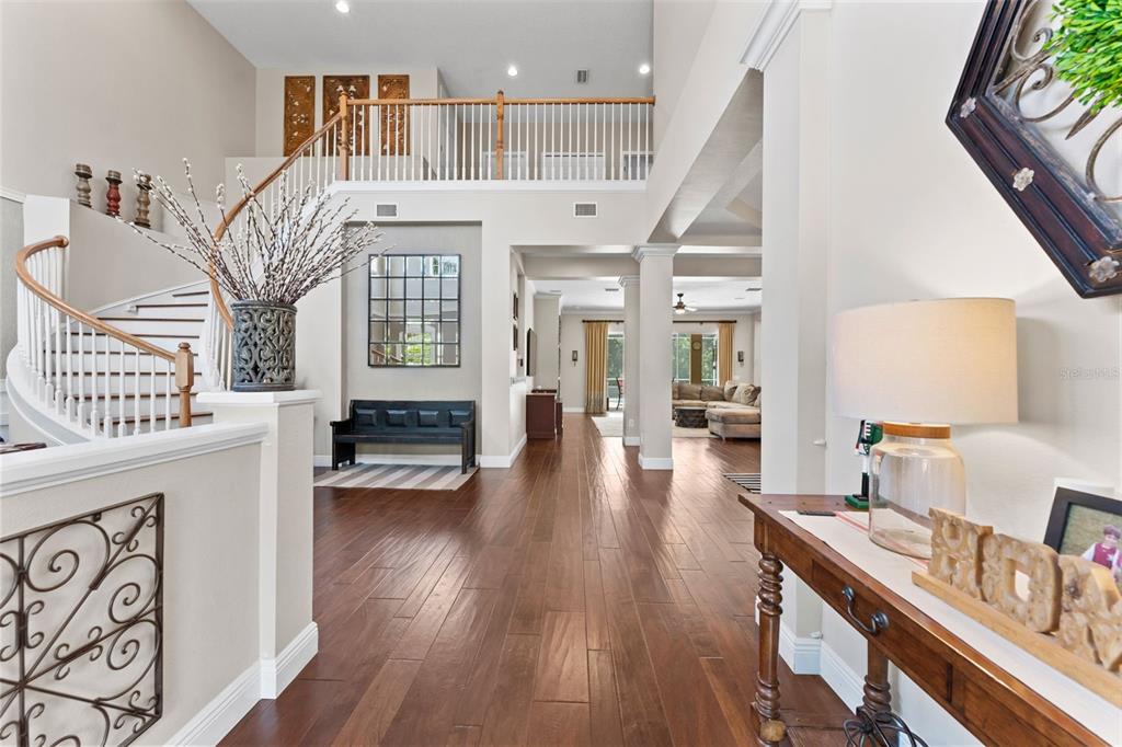 11615 Renaissance View Court Tampa, FL 33626 - Photo 5 of 56