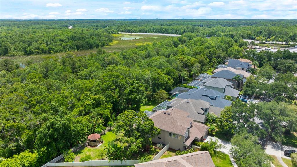 11615 Renaissance View Court Tampa, FL 33626 - Photo 52 of 56