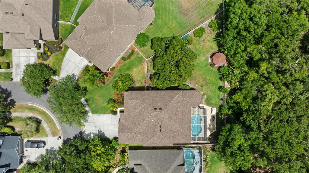 11615 Renaissance View Court Tampa, FL 33626 - Photo 54 of 56