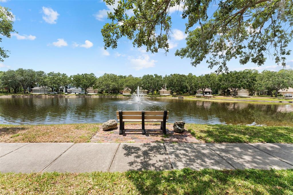 11615 Renaissance View Court Tampa, FL 33626 - Photo 55 of 56