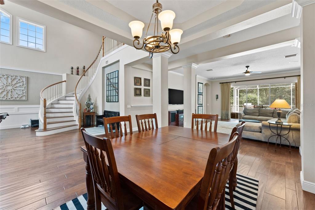 11615 Renaissance View Court Tampa, FL 33626 - Photo 9 of 56