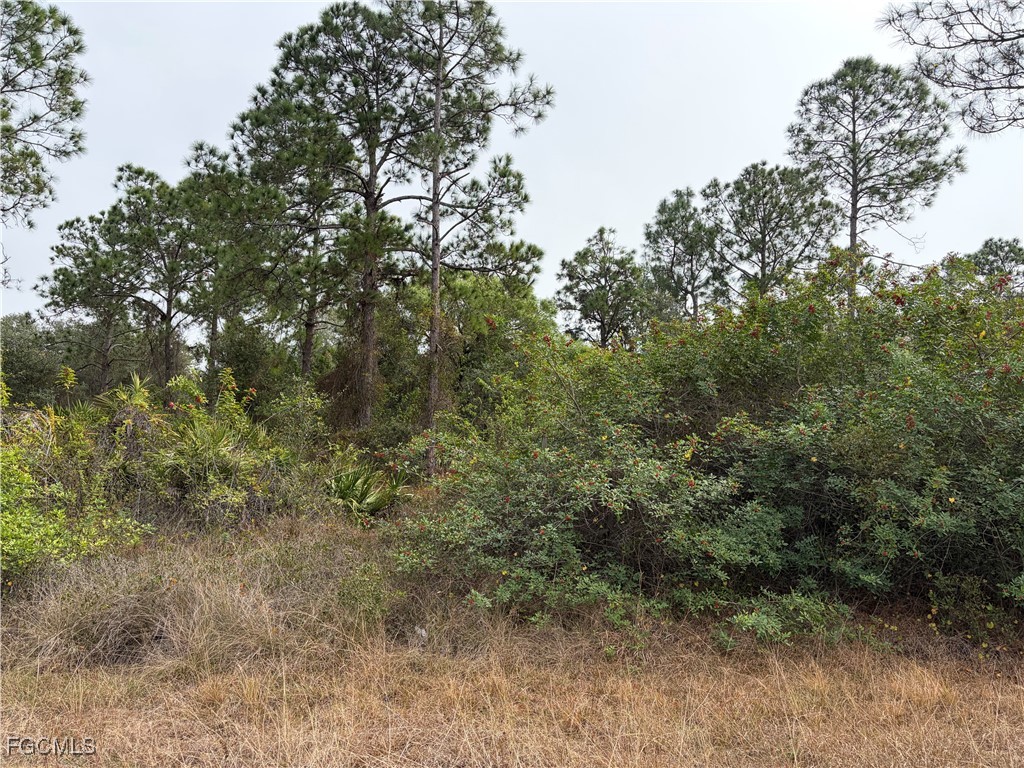 1310 Irving Avenue Lehigh Acres, FL 33972 - Photo 3 of 6