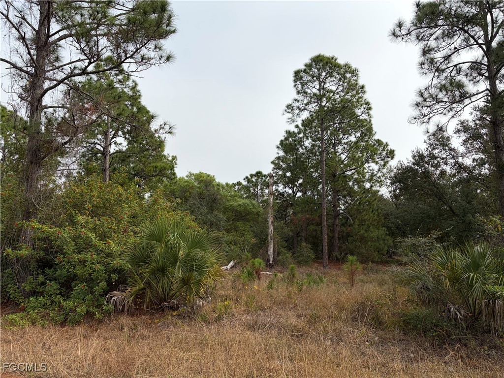 1310 Irving Avenue Lehigh Acres, FL 33972 - Photo 4 of 6