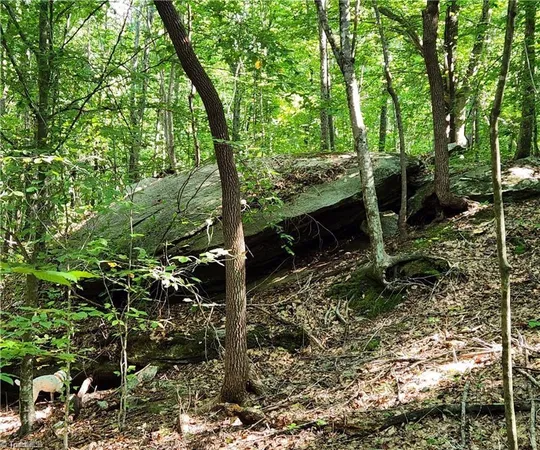 $155,000 | 0 Grassy Knob Road, Unit 25, Pinnacle, NC 27043