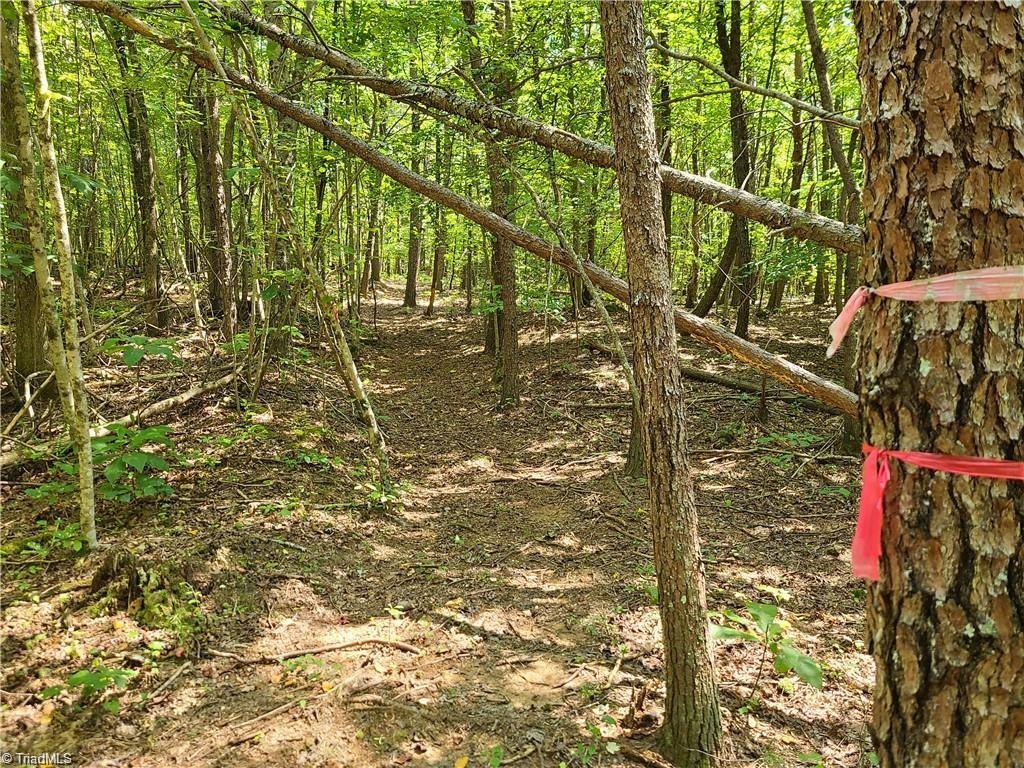 0 Grassy Knob Road, Unit 25 Pinnacle, NC 27043 - Photo 11 of 28