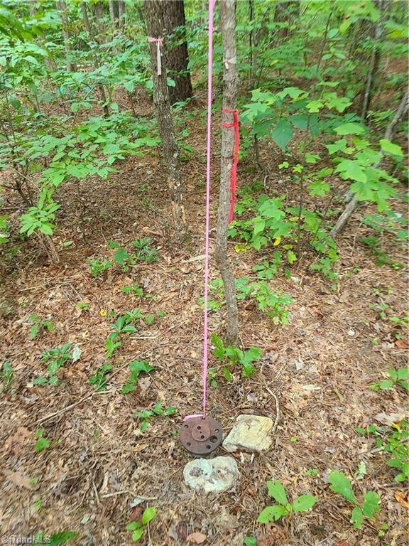 0 Grassy Knob Road, Unit 25 Pinnacle, NC 27043 - Photo 12 of 28