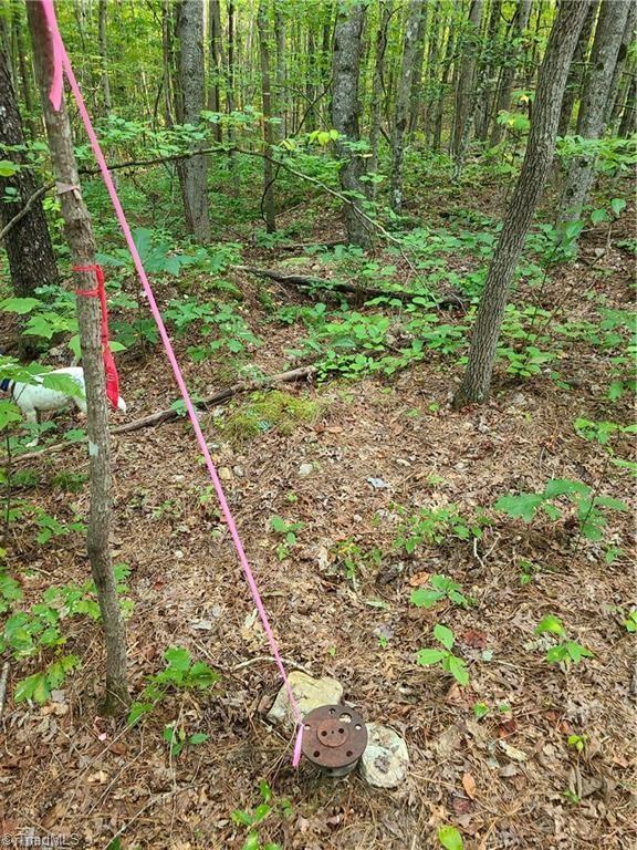 0 Grassy Knob Road, Unit 25 Pinnacle, NC 27043 - Photo 13 of 28