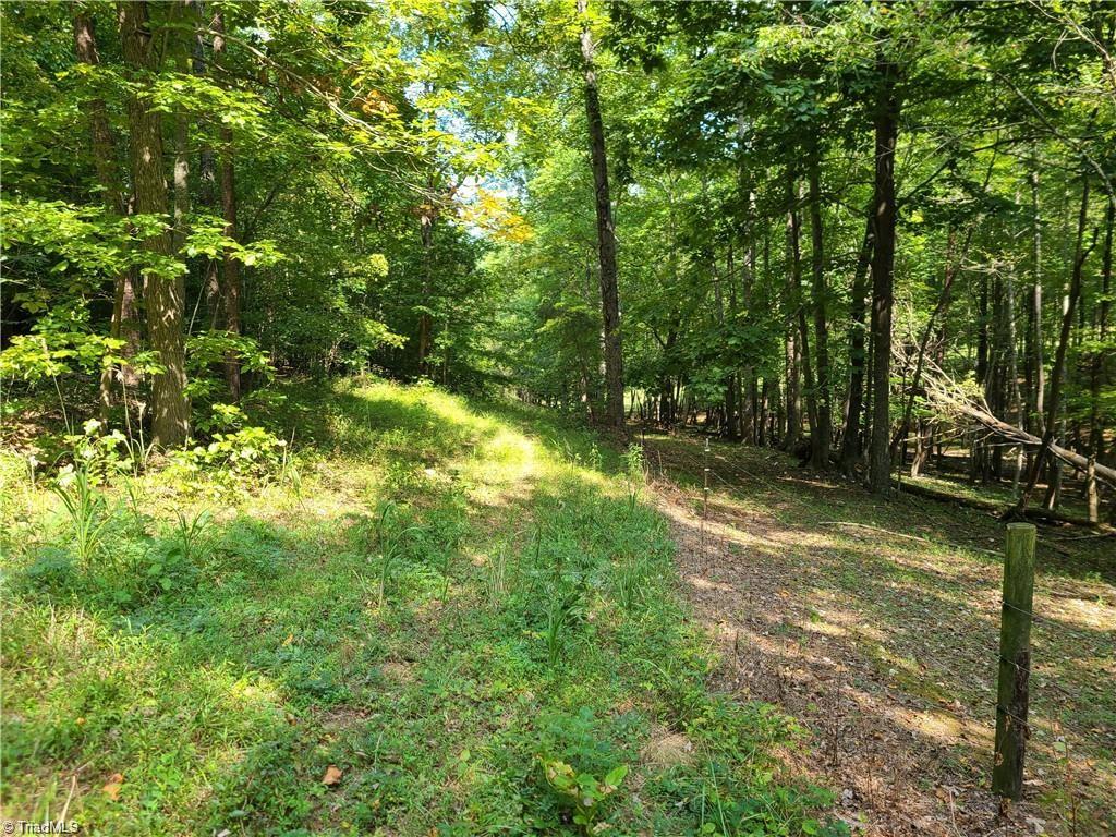 0 Grassy Knob Road, Unit 25 Pinnacle, NC 27043 - Photo 14 of 28